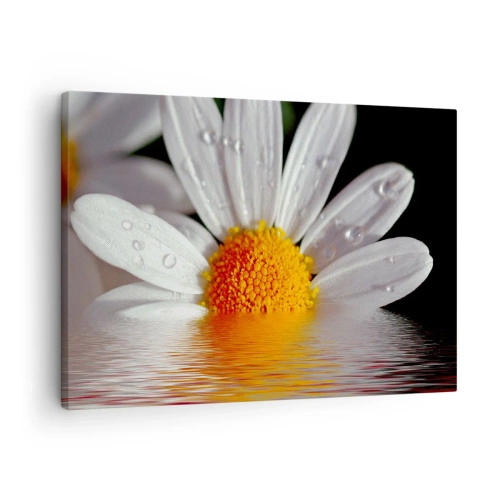 Quadro su tela - Stampe su Tela - Una margherita bianca con gocce d'acqua immerse in un riflesso d'acqua - 70x50cm - L'alba della margherita - Decorazione murale moderna per soggiorno e camera da letto ARTTOR
