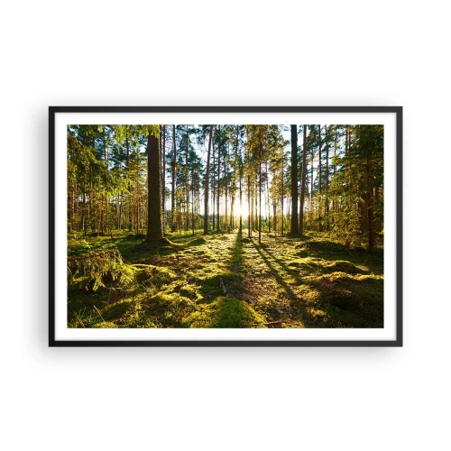 Poster in cornice nera - …dopo sette foreste - 91x61 cm