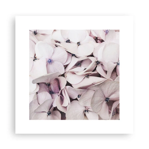 Poster - Un'alluvione di fiori - 30x30 cm