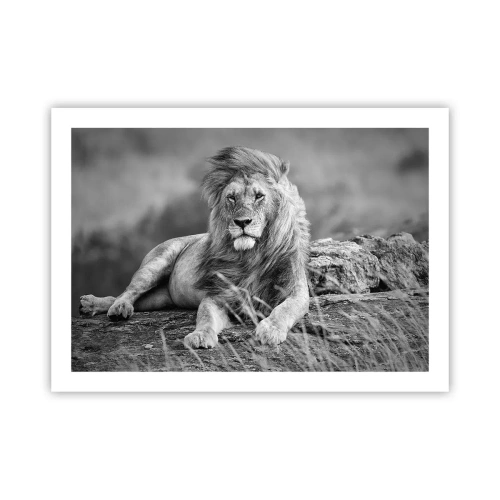 Poster - La siesta del re - 70x50 cm