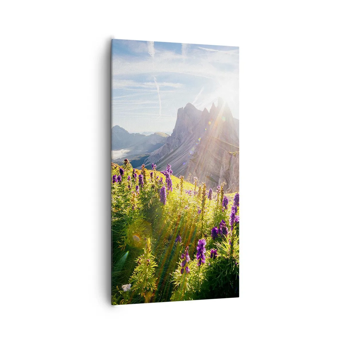 Quadro su tela - Stampe su Tela - La vita segreta delle erbe - 65x120 cm