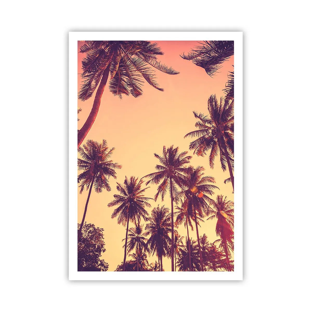 Poster - Composizione tropicale - 70x100 cm