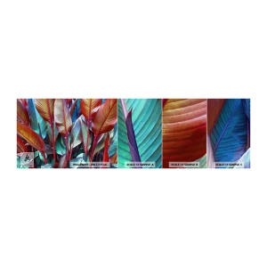 Campione di Fotomurale Adesivo Deluxe Sticker - Selva colorata - Foglie, Botanica, Boho - 100x30 cm