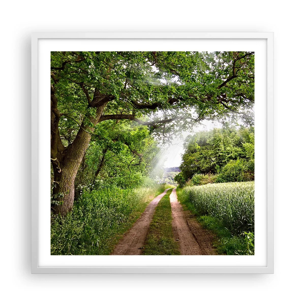 Poster in cornice bianca - Et in Arcadia ego - 60x60 cm