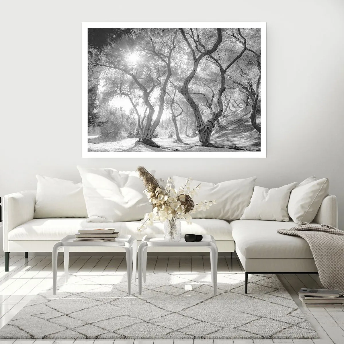 Poster - Vista in bianco e nero degli alberi in un uliveto con raggi di sole - 100x70cm - Nell'orto degli ulivi - Decorazione murale moderna per soggiorno e camera da letto ARTTOR