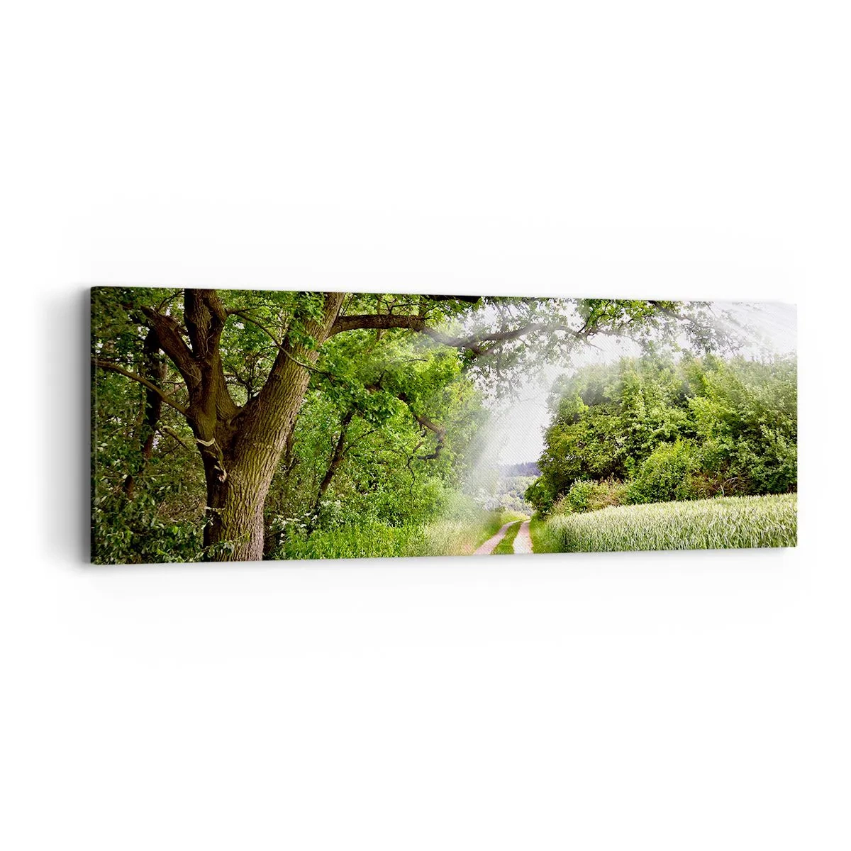 Quadro su tela - Stampe su Tela - Et in Arcadia ego - 90x30 cm
