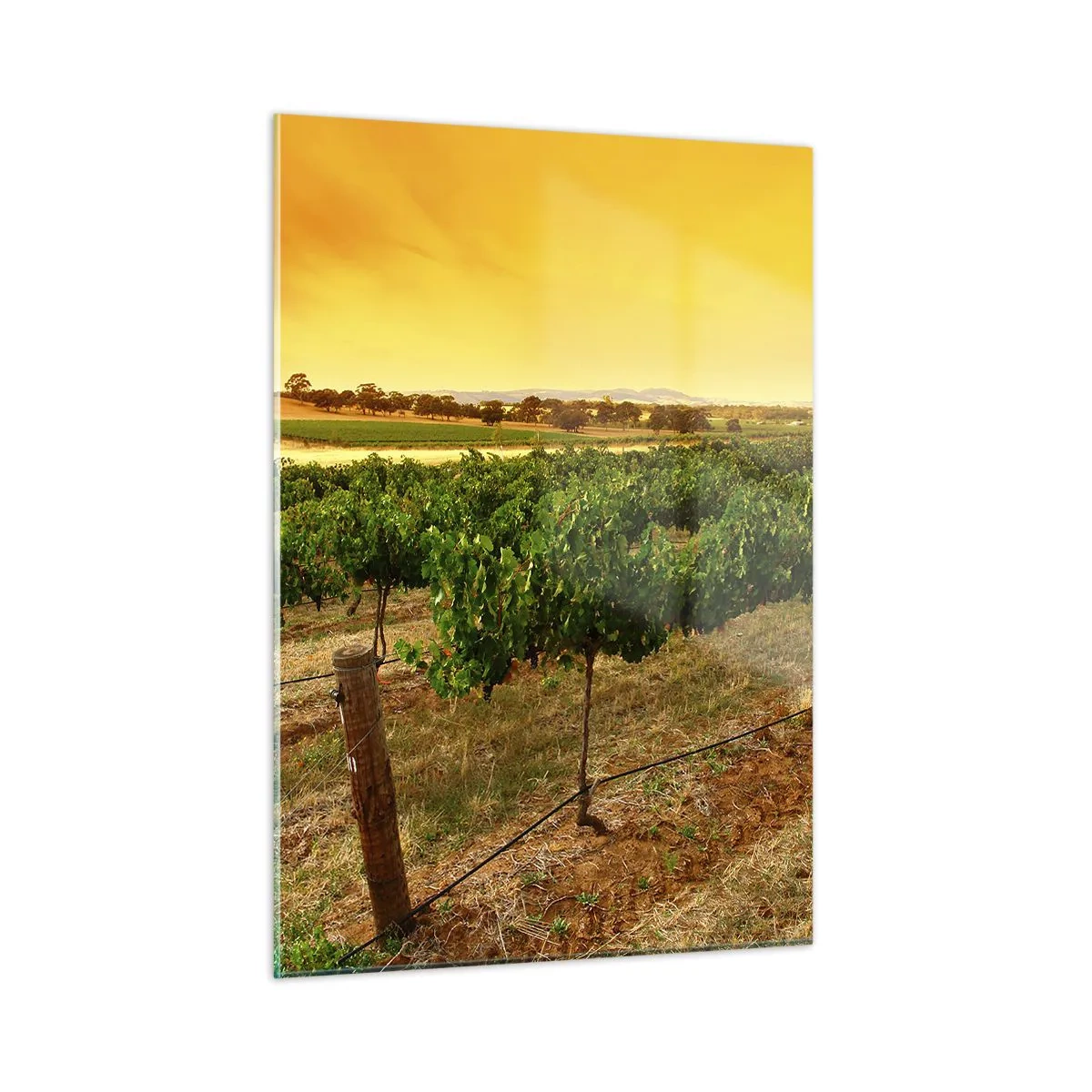 Quadro su vetro - Ubriacarsi di sole - 50x70 cm