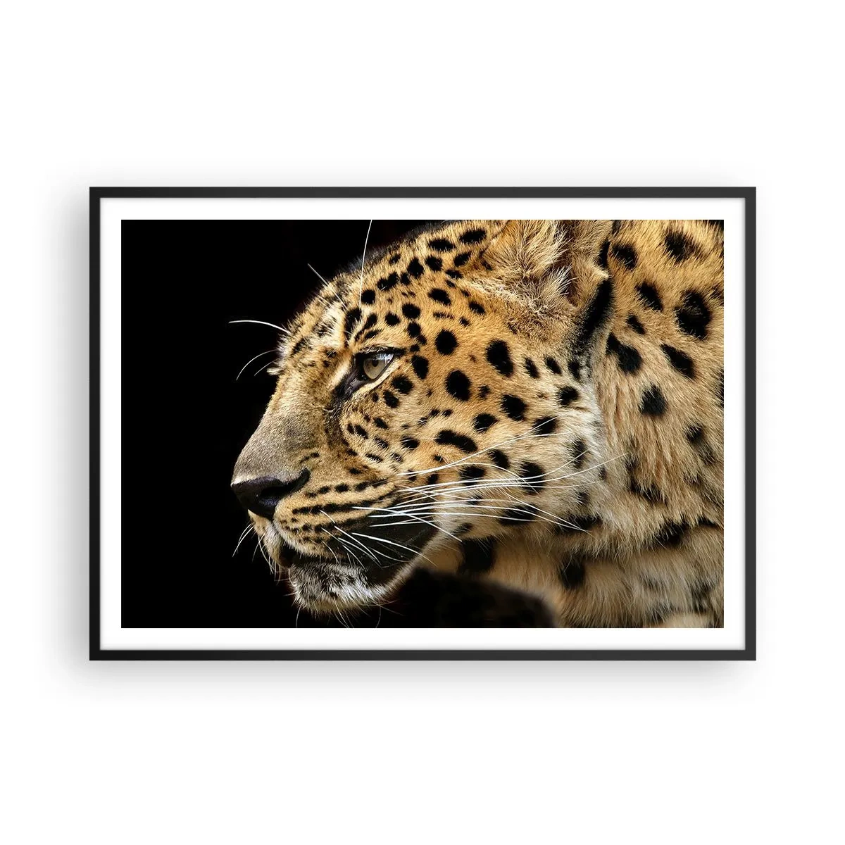 Poster in cornice nera - Primo piano della testa di un leopardo su uno sfondo nero - 100x70cm - Calmo, concentrato, pronto - Decorazione murale moderna per soggiorno e camera da letto ARTTOR