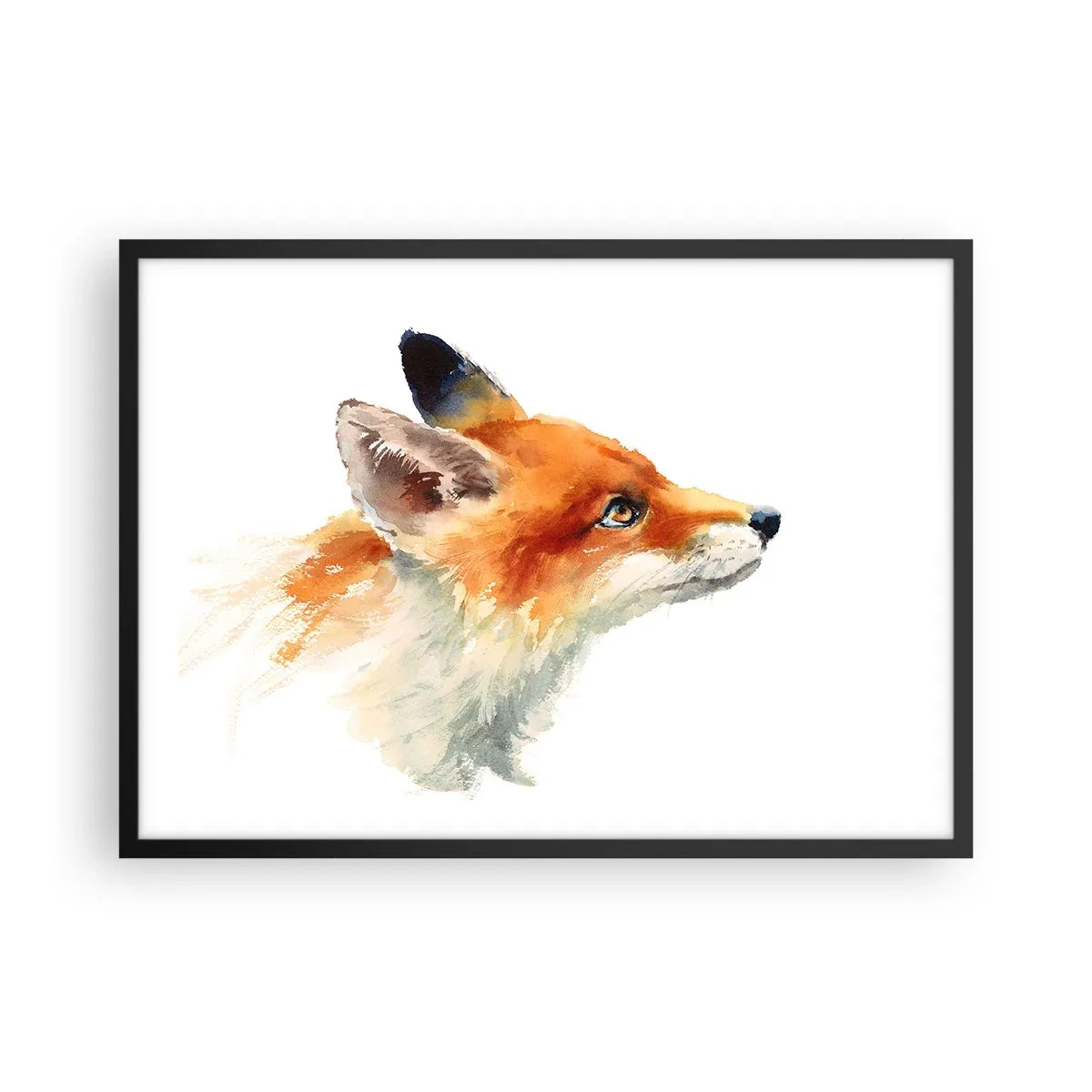 Poster in cornice nera - Volpe rossa in stile acquerello su sfondo bianco - 70x50cm - La prudenza non è mai troppa - Decorazione murale moderna per soggiorno e camera da letto ARTTOR