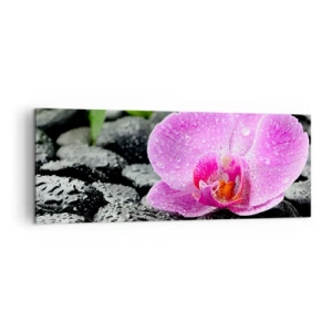 Quadro su tela - Stampe su Tela - Orchidea rosa su pietre nere bagnate con foglie verdi - 140x50cm - Come un cuore aperto - Decorazione murale moderna per soggiorno e camera da letto ARTTOR