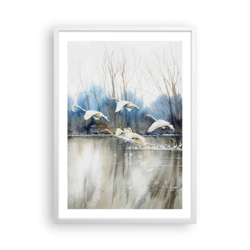 Poster in cornice bianca - Come la favola dei cigni selvatici - 50x70 cm