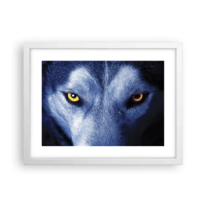 Poster in cornice bianca - Sguardo ipnotico - 40x30 cm