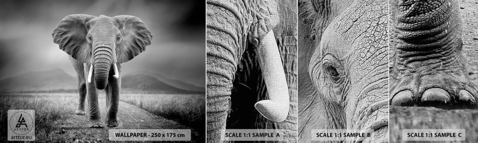 Campione di Fotomurale Premium Canvas - Il padrone di casa dà il benvenuto - Elefante, Animali, Paesaggio - 100x30 cm