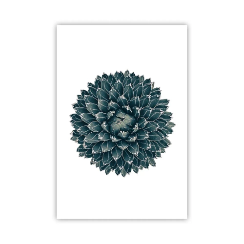 Poster - La stella del deserto - 61x91 cm