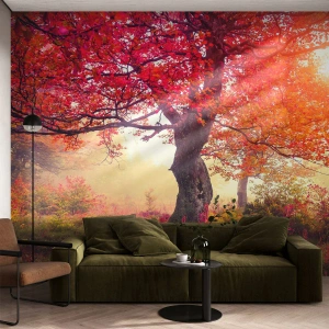 Fotomurali Autoadesivo Deluxe Sticker - L'esplosione della fioritura - Paesaggio, Parco, Fiori - 200x140 cm