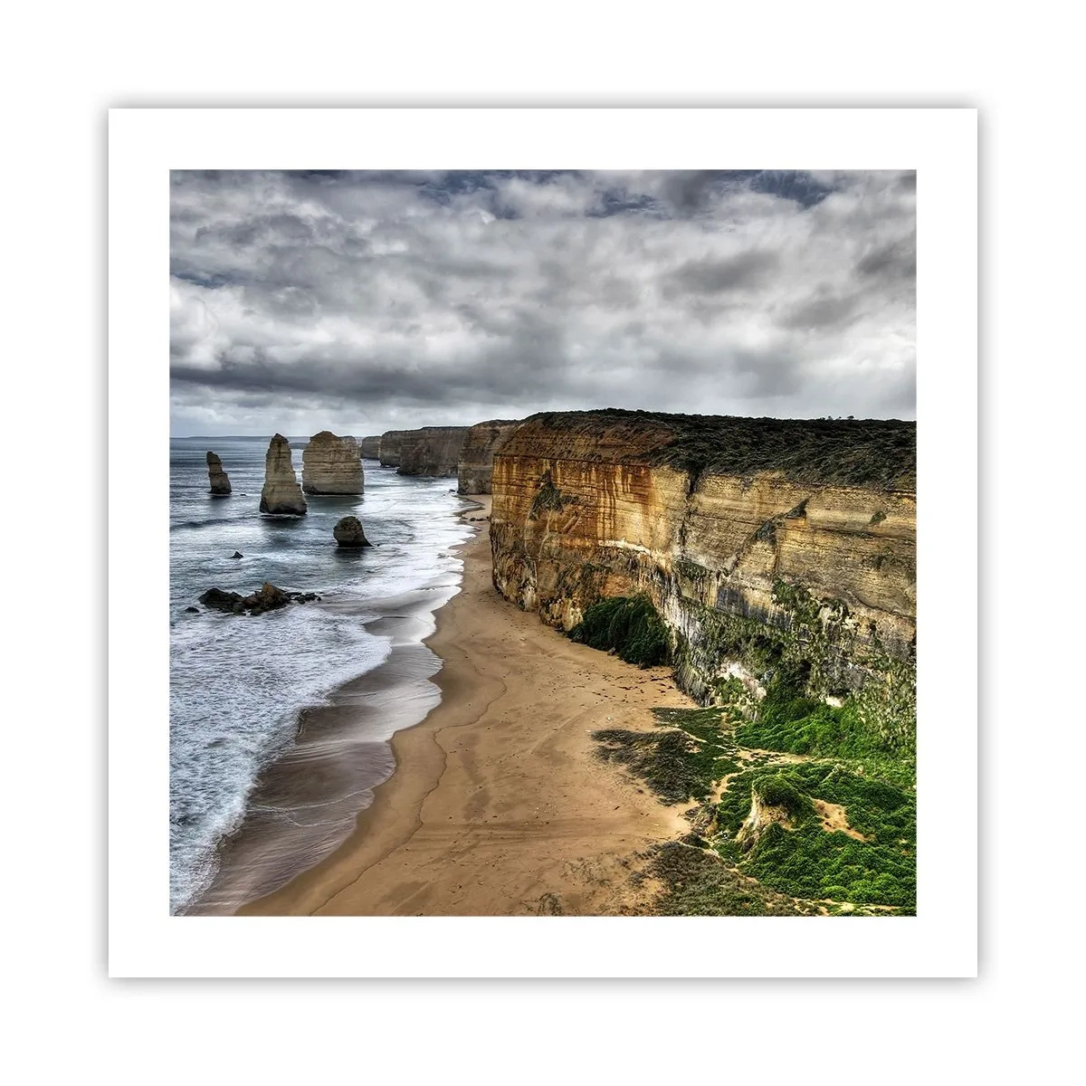 Poster - Bellezza selvatica - 50x50 cm