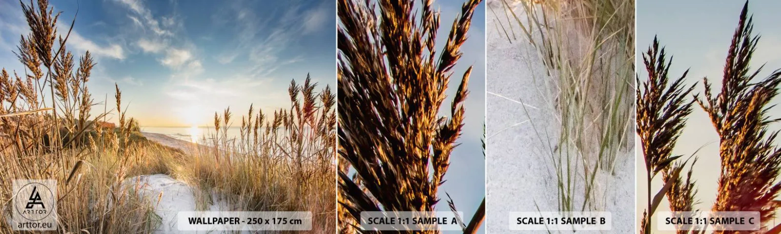 Campione di Fotomurale Adesivo Deluxe Sticker - Spiaggia del nord - Paesaggio, Mare, Spiaggia - 100x30 cm