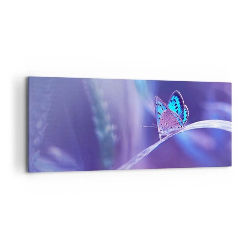 Quadro su tela - Stampe su Tela - Una delicata farfalla blu su uno stelo in luce viola - 120x50cm - Gioielli della natura - Decorazione murale moderna per soggiorno e camera da letto ARTTOR