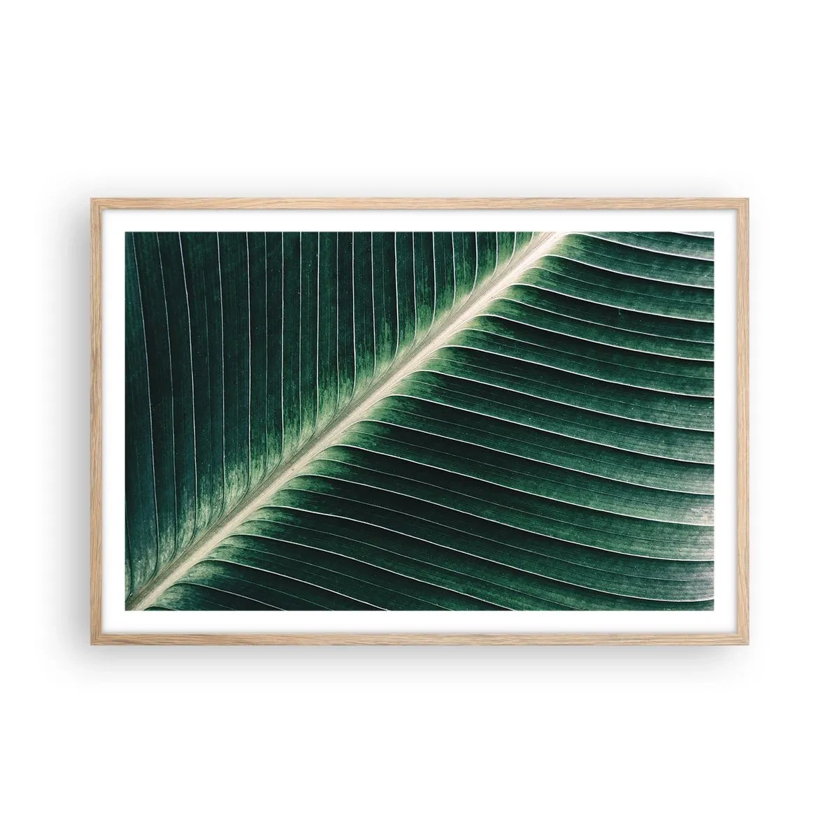 Poster in cornice rovere chiaro - Il ritmo della natura - 91x61 cm