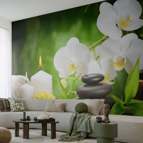 Fotomurali Standard Eco - Tocco delicato, fragrante, floreale - Fiori, Orchidea, Orchidea - 400x280 cm
