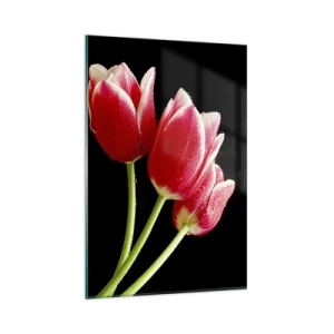 Quadro su vetro - Tulipani rossi con gocce di rugiada su sfondo nero - 80x120cm - Promessa di amore puro - Decorazione murale moderna per soggiorno e camera da letto ARTTOR