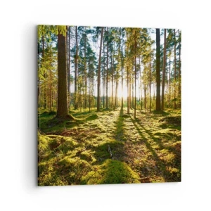 Quadro su tela - Stampe su Tela - …dopo sette foreste - 70x70 cm