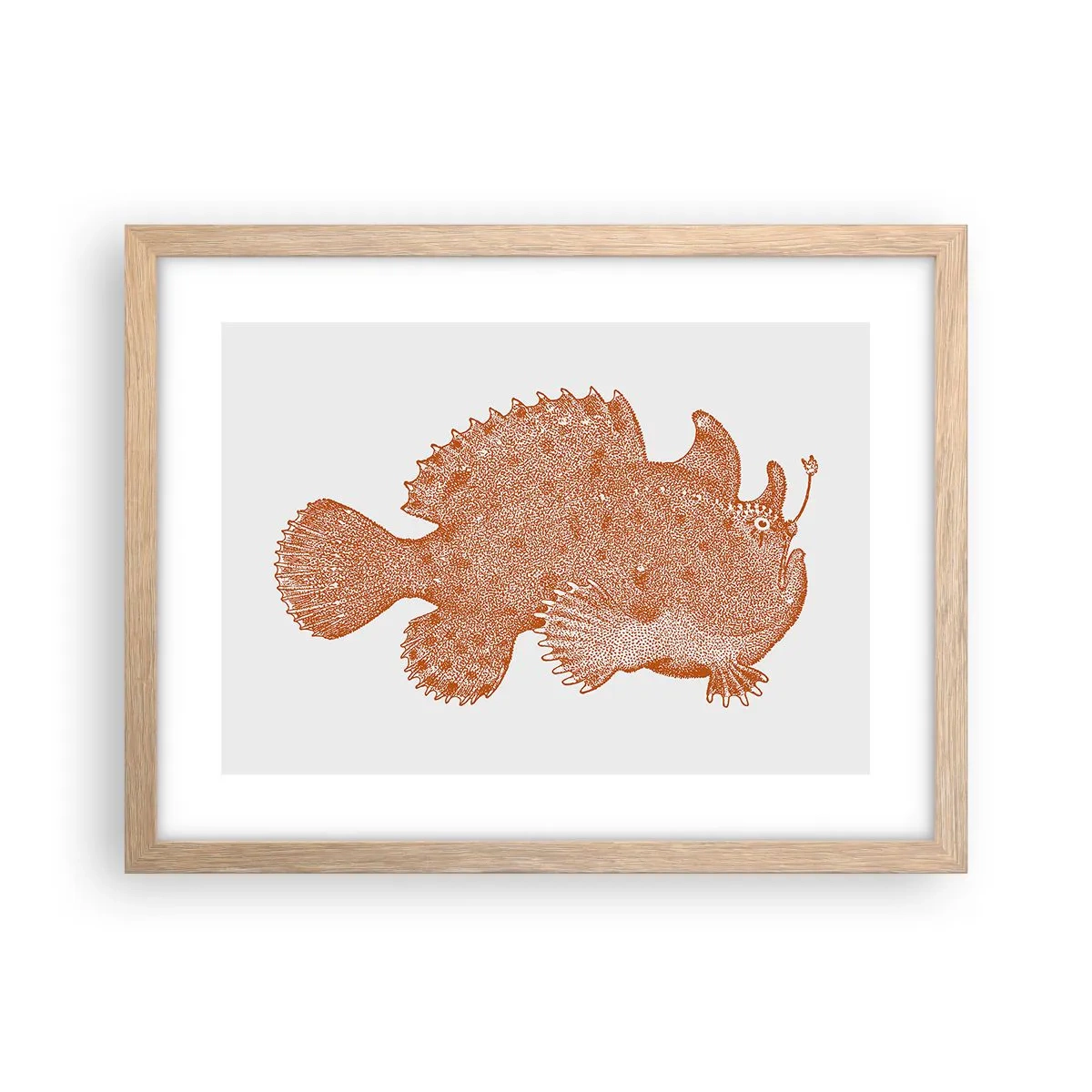 Poster in cornice rovere chiaro - È davvero un pesce - 40x30 cm