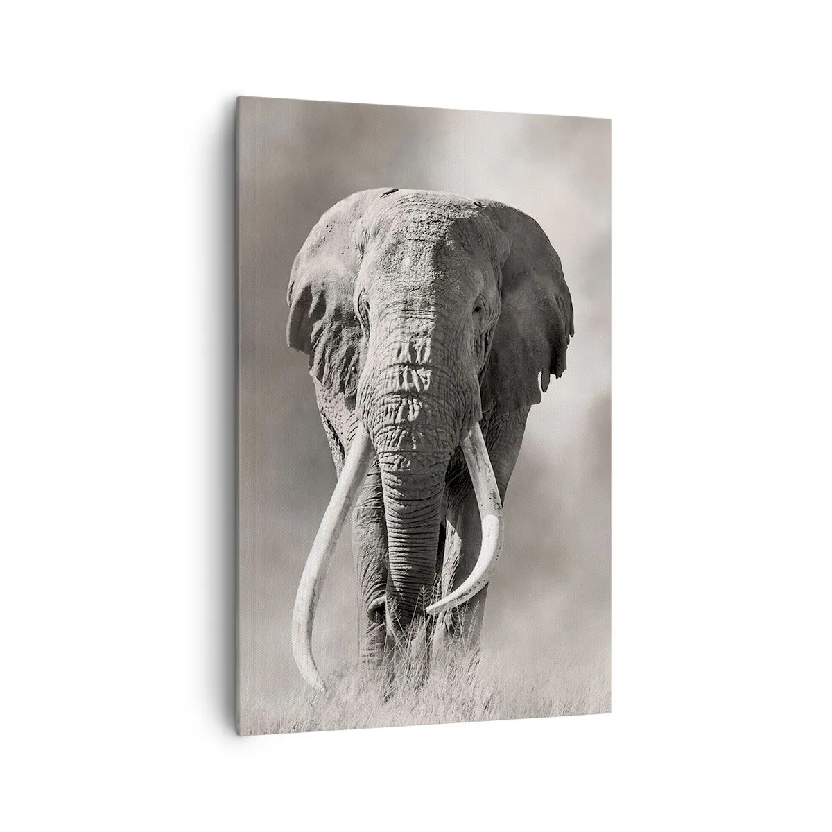 Quadro su tela - Stampe su Tela - Patriarca africano - 80x120 cm