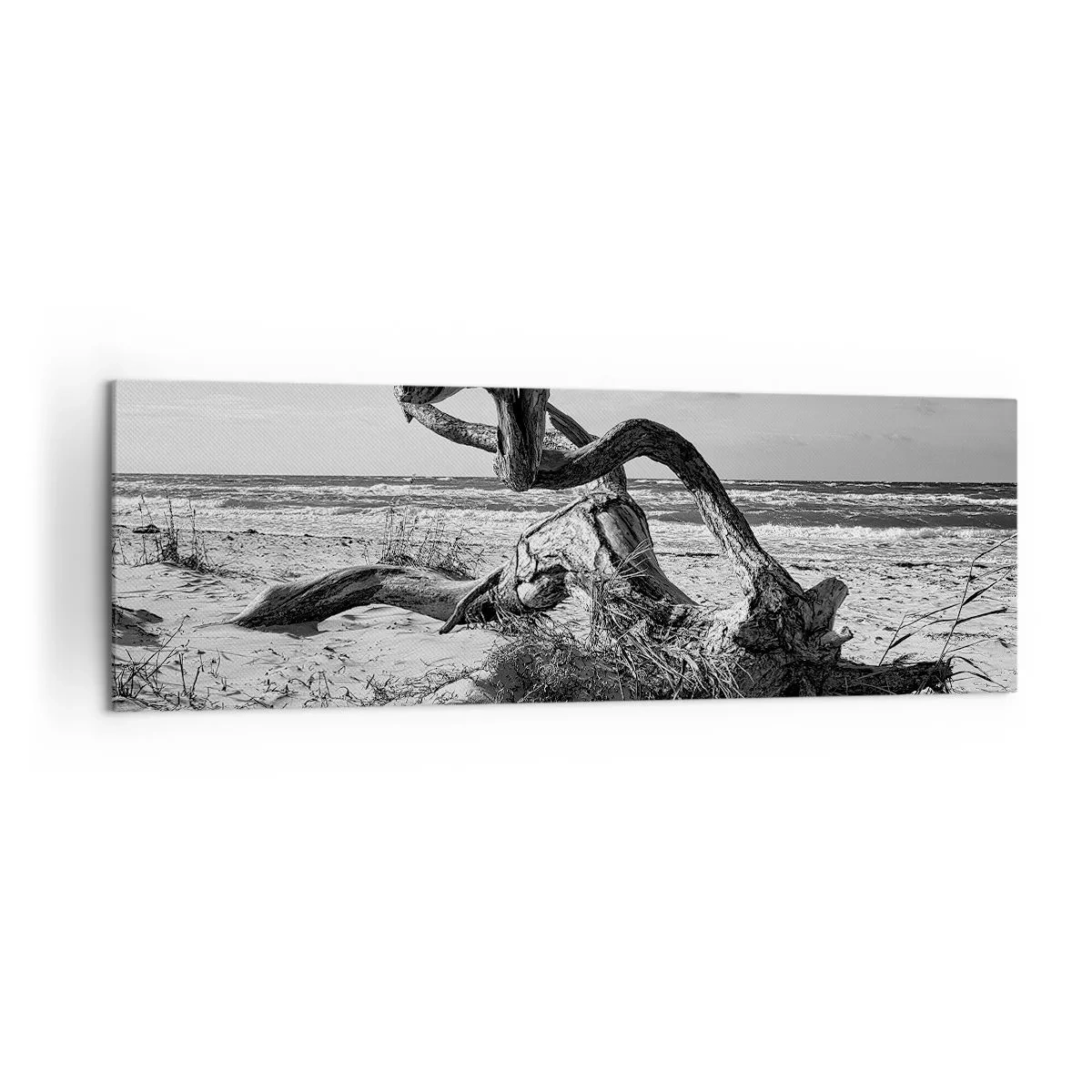 Quadro su tela - Stampe su Tela - Paesaggio in bianco e nero con un albero morto sulla spiaggia - 160x50cm - Scolpito dal mare - Decorazione murale moderna per soggiorno e camera da letto ARTTOR
