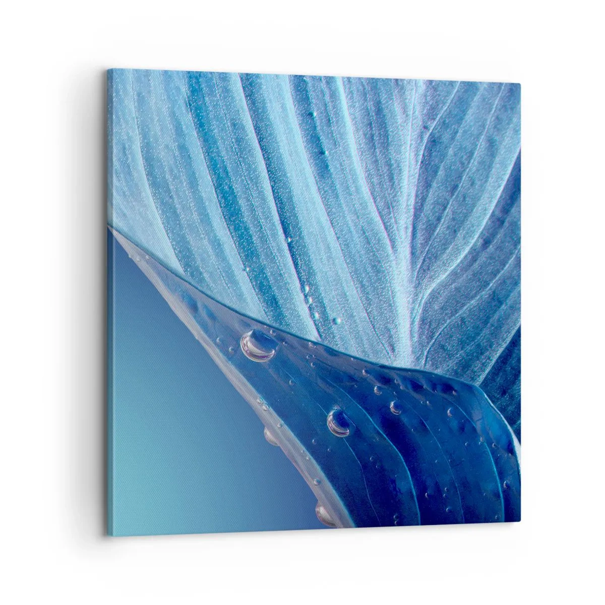 Quadro su tela - Stampe su Tela - Gocce di blu nascoste - 60x60 cm