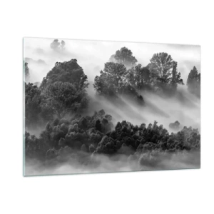 Quadro su vetro - Foresta nebbiosa alla luce del sole in bianco e nero - 120x80cm - Risveglio dal sonno - Decorazione murale moderna per soggiorno e camera da letto ARTTOR