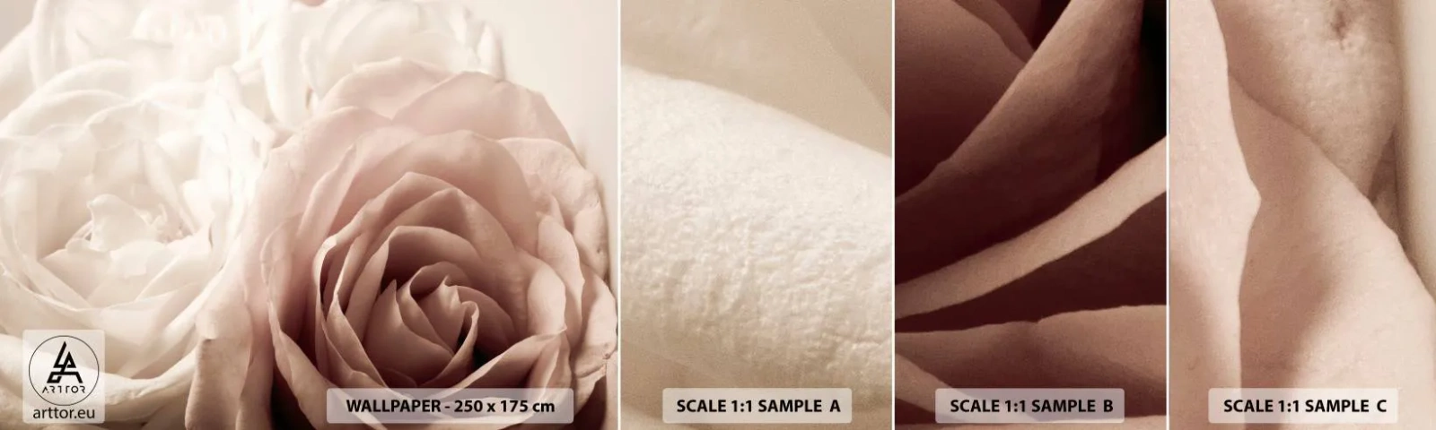 Campione Di Fotomurale Standard Eco - Nel cuore della rosa - Rose, Fiori, Romantico - 100x30 cm