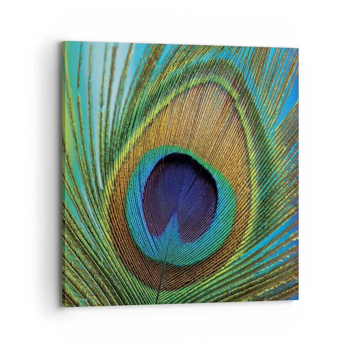 Quadro su tela - Stampe su Tela - Occhio nell'occhio - 70x70 cm