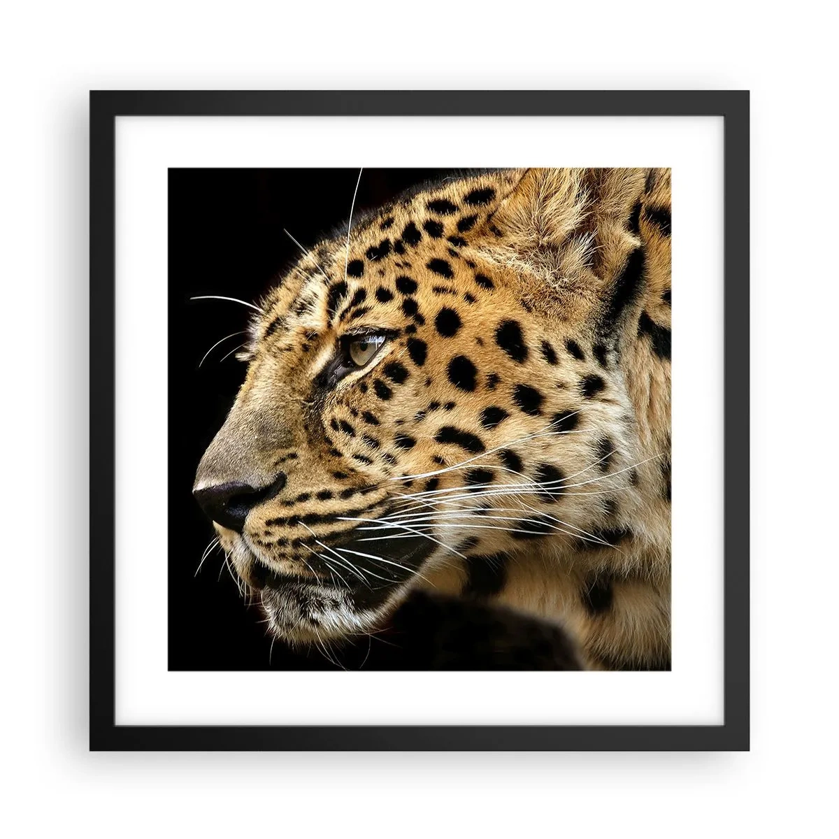 Poster in cornice nera - Calmo, concentrato, pronto - 40x40 cm