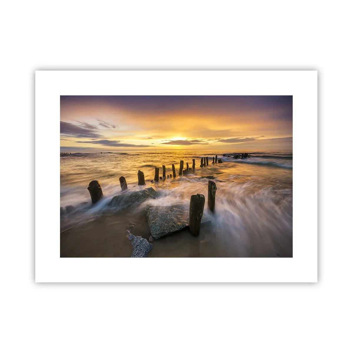 Poster - La bellezza selvatica del Baltico - 40x30 cm