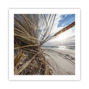 Poster - L'incontro degli elementi - 50x50 cm