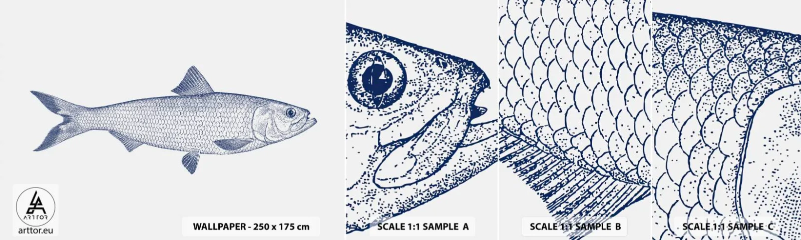 Campione Di Fotomurale Standard Eco - Un saluto dai mari del nord - Pescare, Animale marino, Stile balneare - 100x30 cm