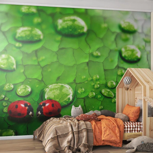 Fotomurali Premium Canvas - Incontro in verde - Natura, Coccinella, Una goccia d'acqua - 150x105 cm
