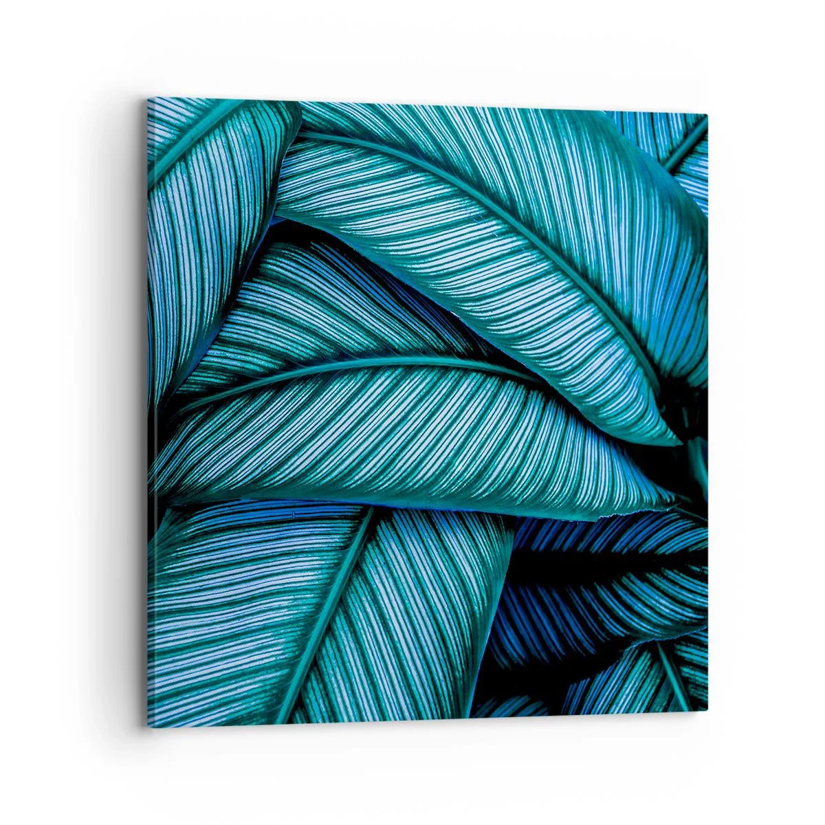 Quadro su tela - Stampe su Tela - Le linee della vita - 70x70 cm