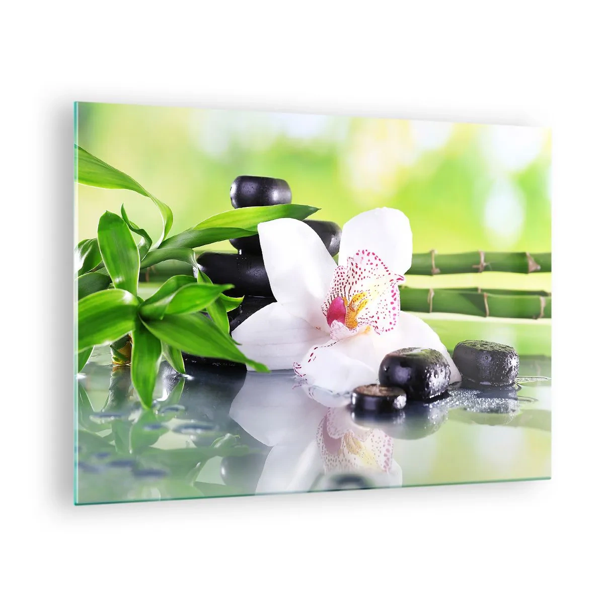 Quadro su vetro - Orchidea, bambù e pietre nere su sfondo verde - 70x50cm - Freschezza rinfrescante - Decorazione murale moderna per soggiorno e camera da letto ARTTOR