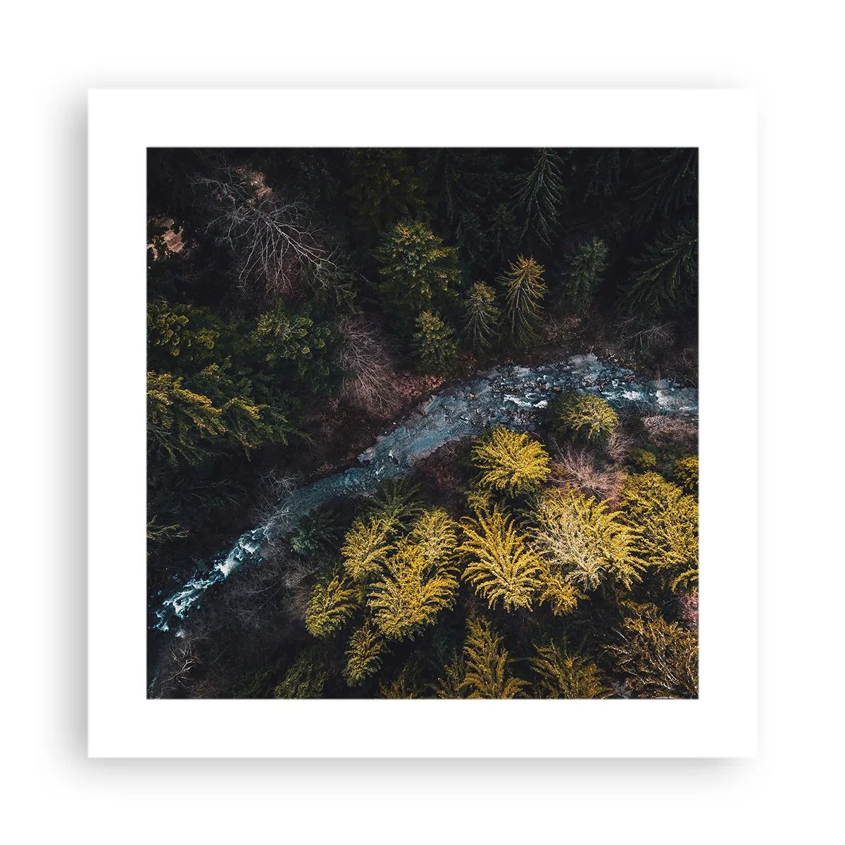 Poster - Sempre più veloce - 40x40 cm