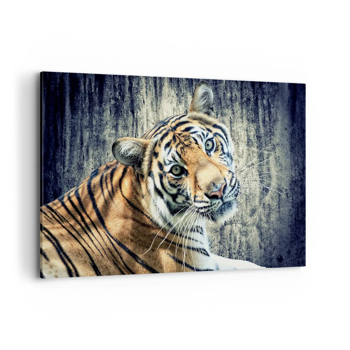 Quadro su tela - Stampe su Tela - Una tigre sdraiata contro un muro dalla consistenza ruvida - 120x80cm - Ritratto nei flussi di luce - Decorazione murale moderna per soggiorno e camera da letto ARTTOR
