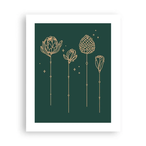 Poster - La famiglia delle erbe - 40x50 cm