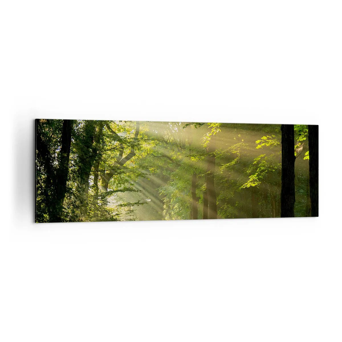 Quadro su tela - Stampe su Tela - Sentiero nel bosco con raggi di sole che brillano attraverso gli alberi - 160x50cm - Un attimo nel bosco - Decorazione murale moderna per soggiorno e camera da letto ARTTOR