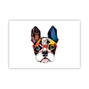 Poster - Intellettuale - 91x61 cm