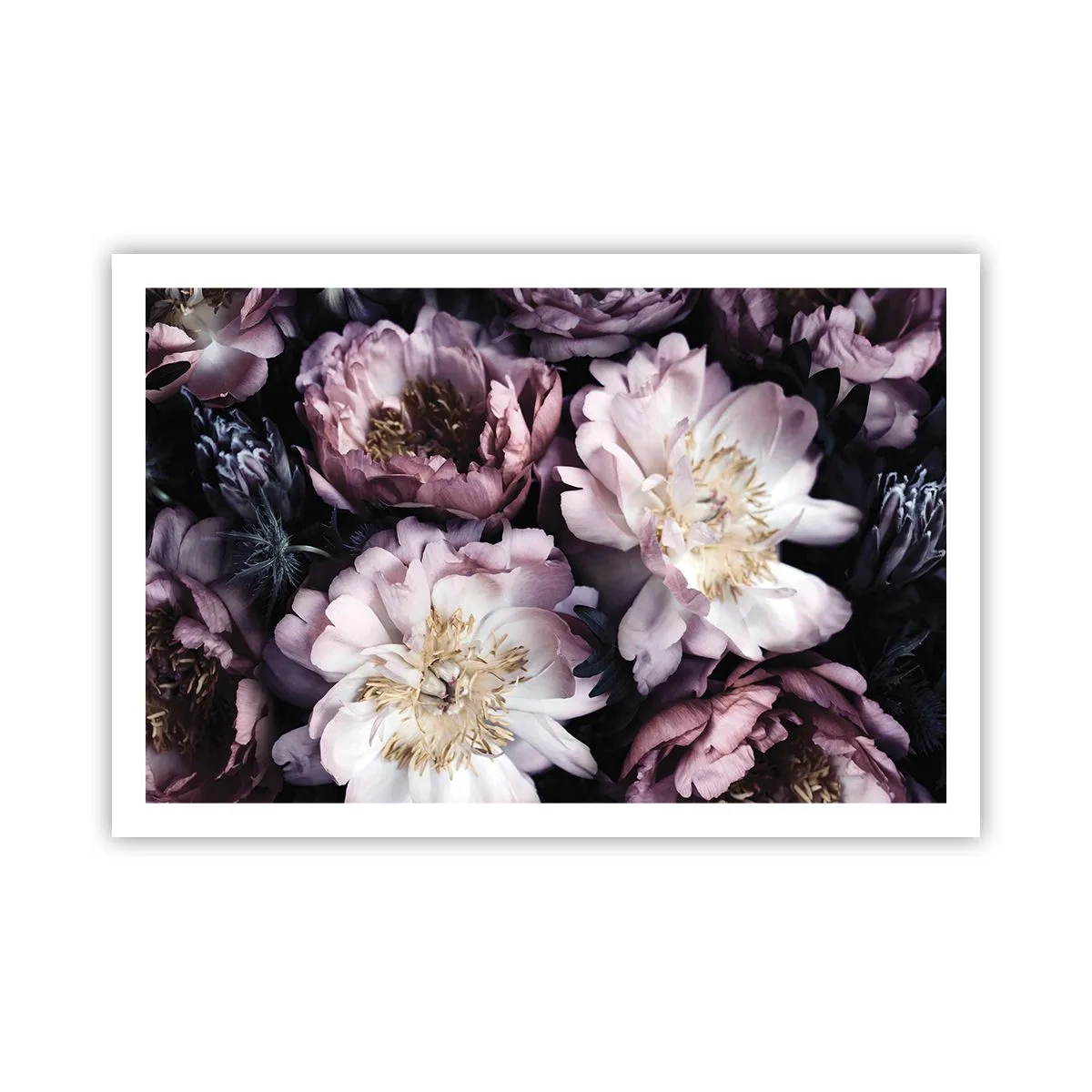 Poster - Bouquet nel vecchio stile - 91x61 cm