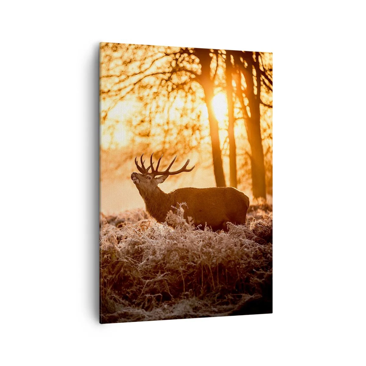 Quadro su tela - Stampe su Tela - Due cervi al tramonto in un paesaggio invernale - 70x100cm - Il sogno del cacciatore - Decorazione murale moderna per soggiorno e camera da letto ARTTOR