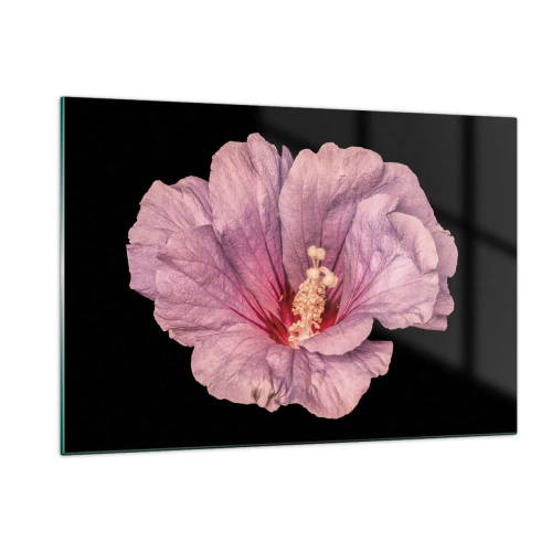 Quadro su vetro - Primo piano di un fiore di ibisco rosa su sfondo nero - 120x80cm - Dritto al cuore - Decorazione murale moderna per soggiorno e camera da letto ARTTOR