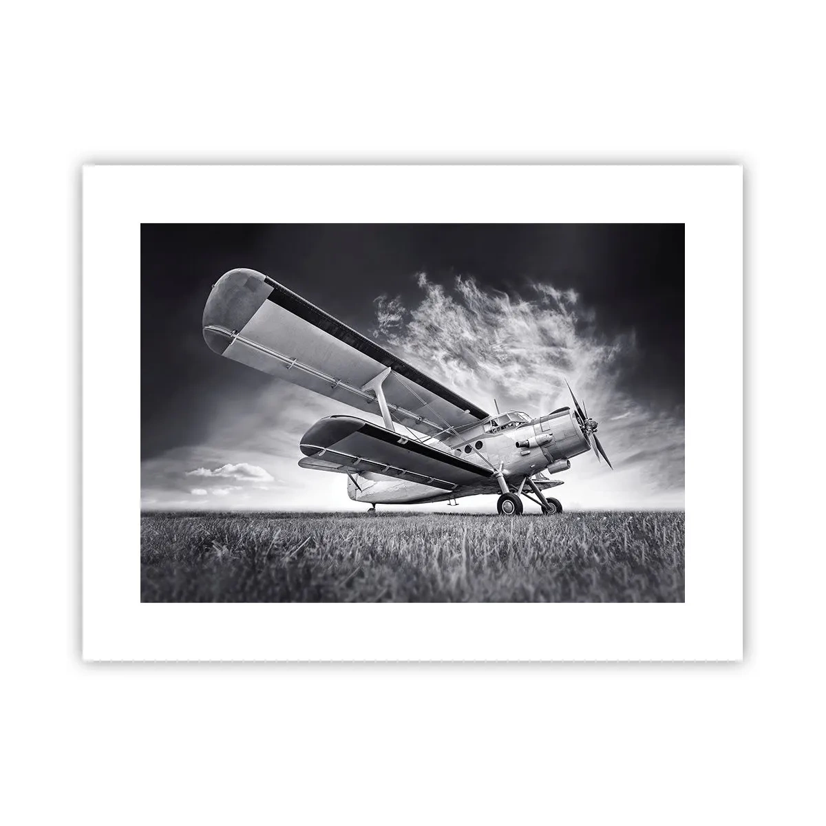 Poster - Giramondo alato  - 40x30 cm