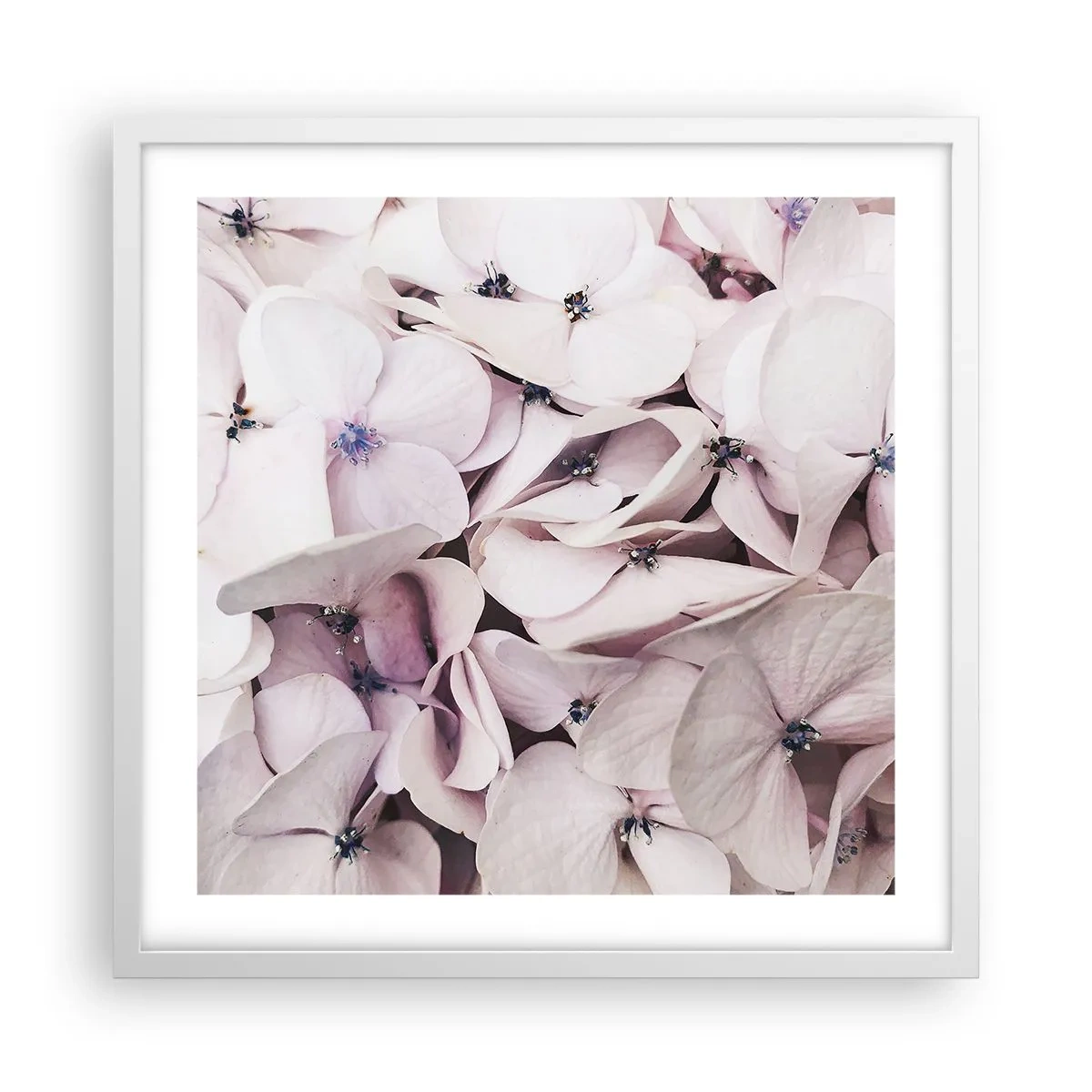 Poster in cornice bianca - Un'alluvione di fiori - 50x50 cm